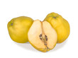 Quince and section Quince and section