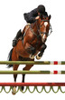 Photo: Horse show jump isolated on white Horse show jump isolated on white