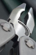 Stainless Stainless