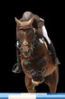 Photo: Show jumping horse isolated on black Show jumping horse isolated on black