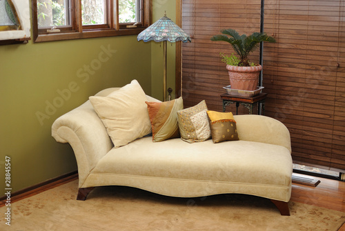 Photo: Plush Interior Lounge Chair Plush Interior Lounge Chair