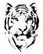 Tiger Stencil Vector