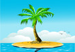 tropical beach