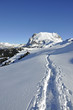 seiser alm 11