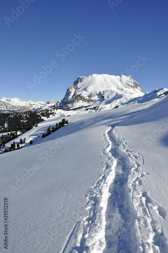 Foto: seiser alm 11 seiser alm 11