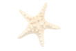 Starfish