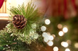 Chirstmaspine cone