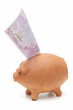 piggy bank piggy bank
