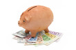 piggy bank savings piggy bank savings