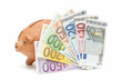 piggy bank savings