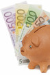 piggy bank