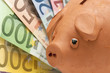 piggy bank savings