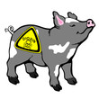 dioxin schwein