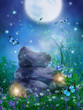 Photo en ligne au meilleur prix Sceneria fantasy z g?azem i lampami
