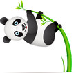 Panda and bamboo tree Panda and bamboo tree