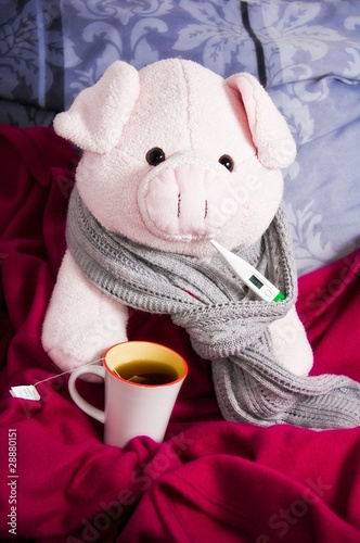 Photo: Influenza Influenza