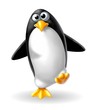Photo en ligne au meilleur prix pinguino in cammino