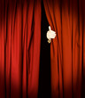 Magician behind red curtains