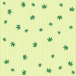 cannabis rain