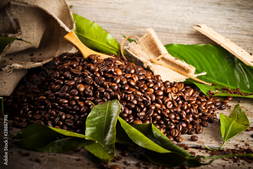 Photo: Café Café