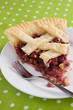 Photo: Cranberry Walnut Pie Slice Cranberry Walnut Pie Slice
