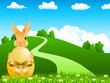 Osterhase in der Natur