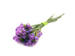 Statice flowers - Limonium Sinuatum