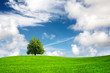 Springtime landscape
