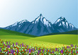 Flower field Flower field