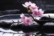 therapy stones with cherry flowers