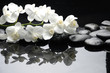 Close Up White Orchid With Sto...