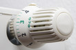 Heizkörper, Thermostat