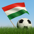 Soccer ball in the grass and flag of Hungary.