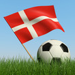 Soccer ball in the grass and flag of Denmark.