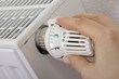 Heizkörper, Thermostat