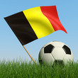 Soccer ball in the grass and flag of Belgium.
