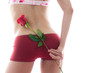 Valentine's Rose