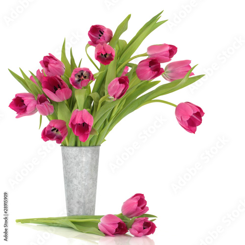 Photo: Pink Tulips Pink Tulips