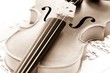 Violine