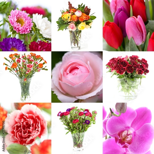 Photo: Flowers Flowers