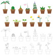 Set of plants Set of plants