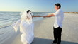 Happy Newly Married Couple on the Beach