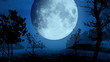 Night forest