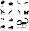 Set icons - 125. Insects