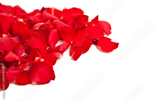 Photo: Red rose petals isolated on white - Valentine's Day Red rose petals isolated on white - Valentine's Day