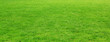 rasen_sport