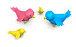 Birds Family