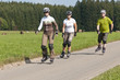 Trensport Inlinern