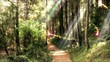 Enchanted forest