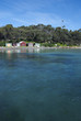 mare